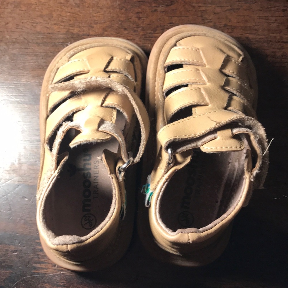 Mooshu trainers